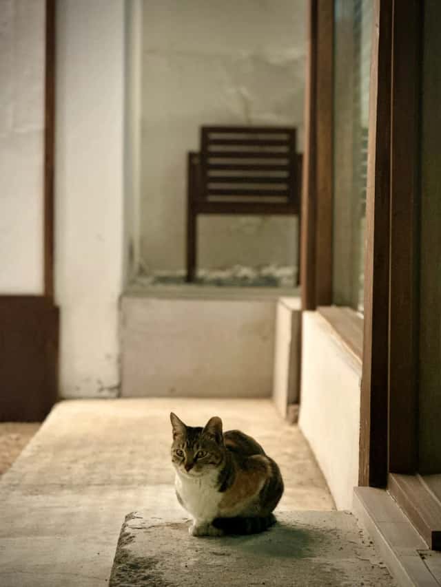 haruto_watanabe